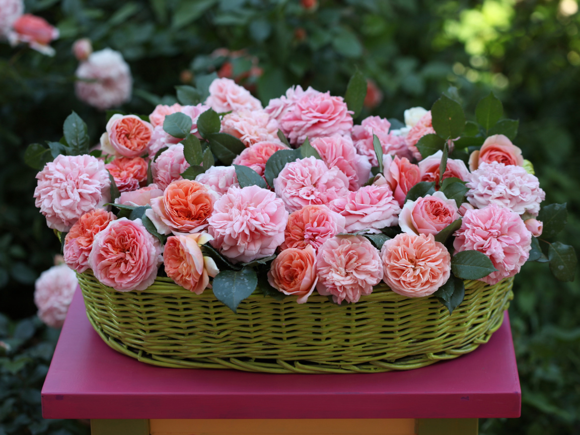 Цветы в зеленой корзине