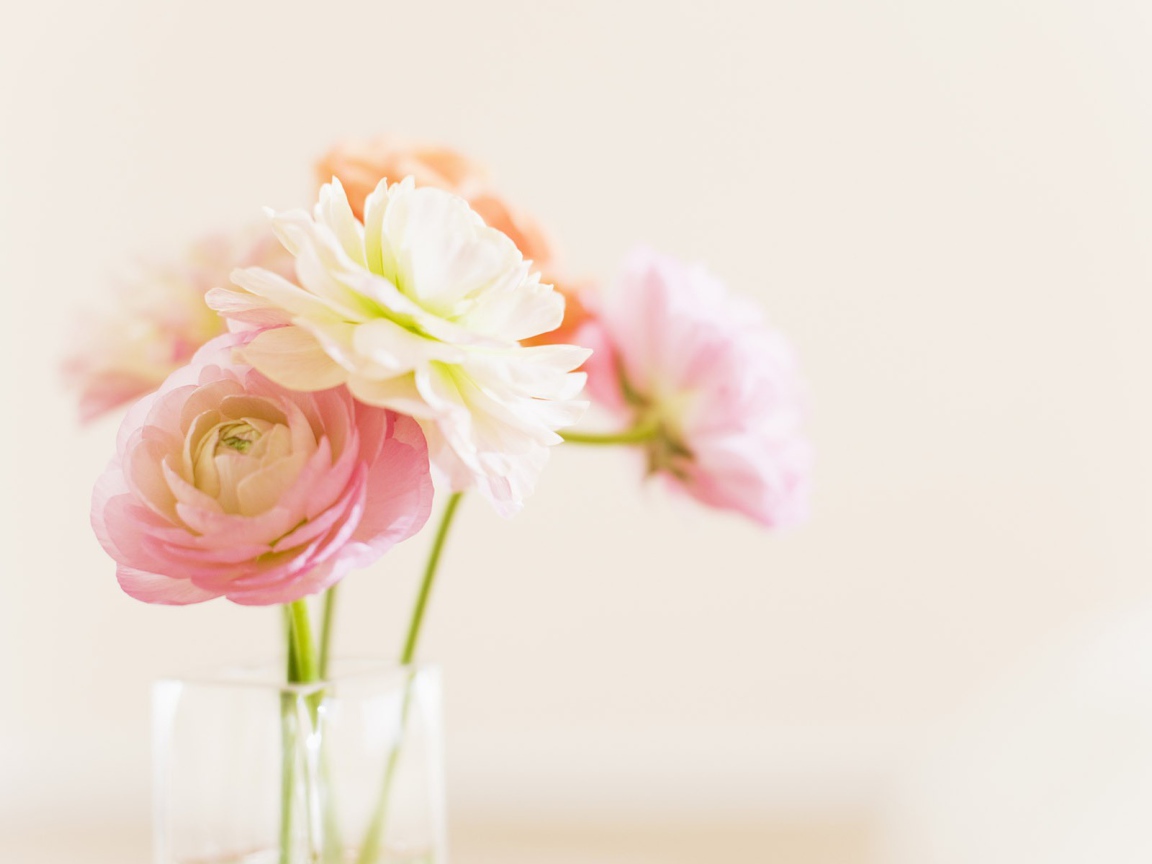 Цветы в стеклянном кувшине