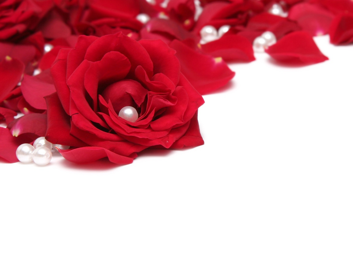 Розы и жемчуг