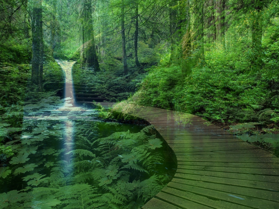 Лесной пейзаж с водопадом