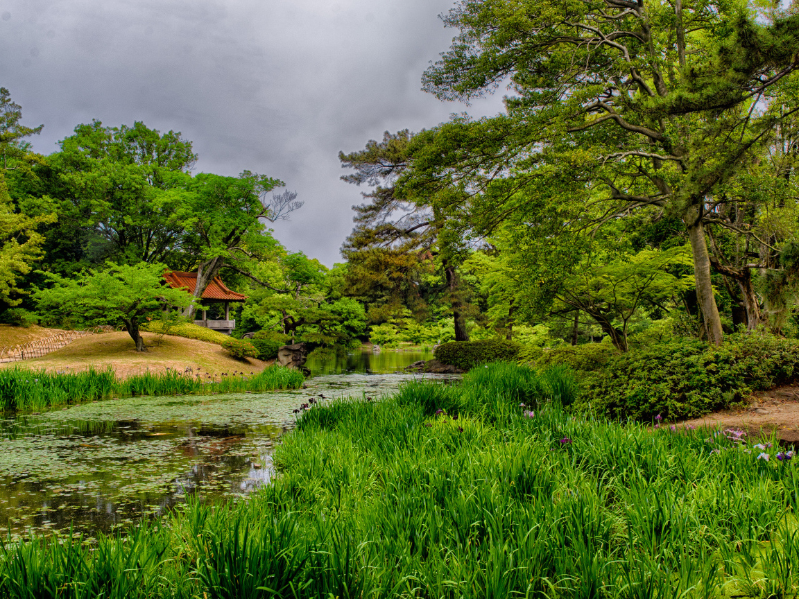 Домик в лесу