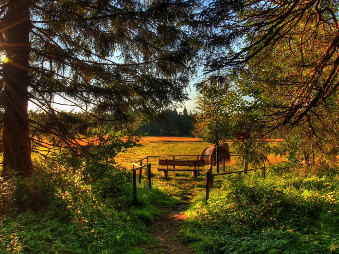 Летняя полянка