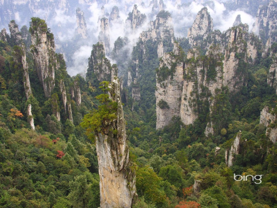 Лес на каменных столбах