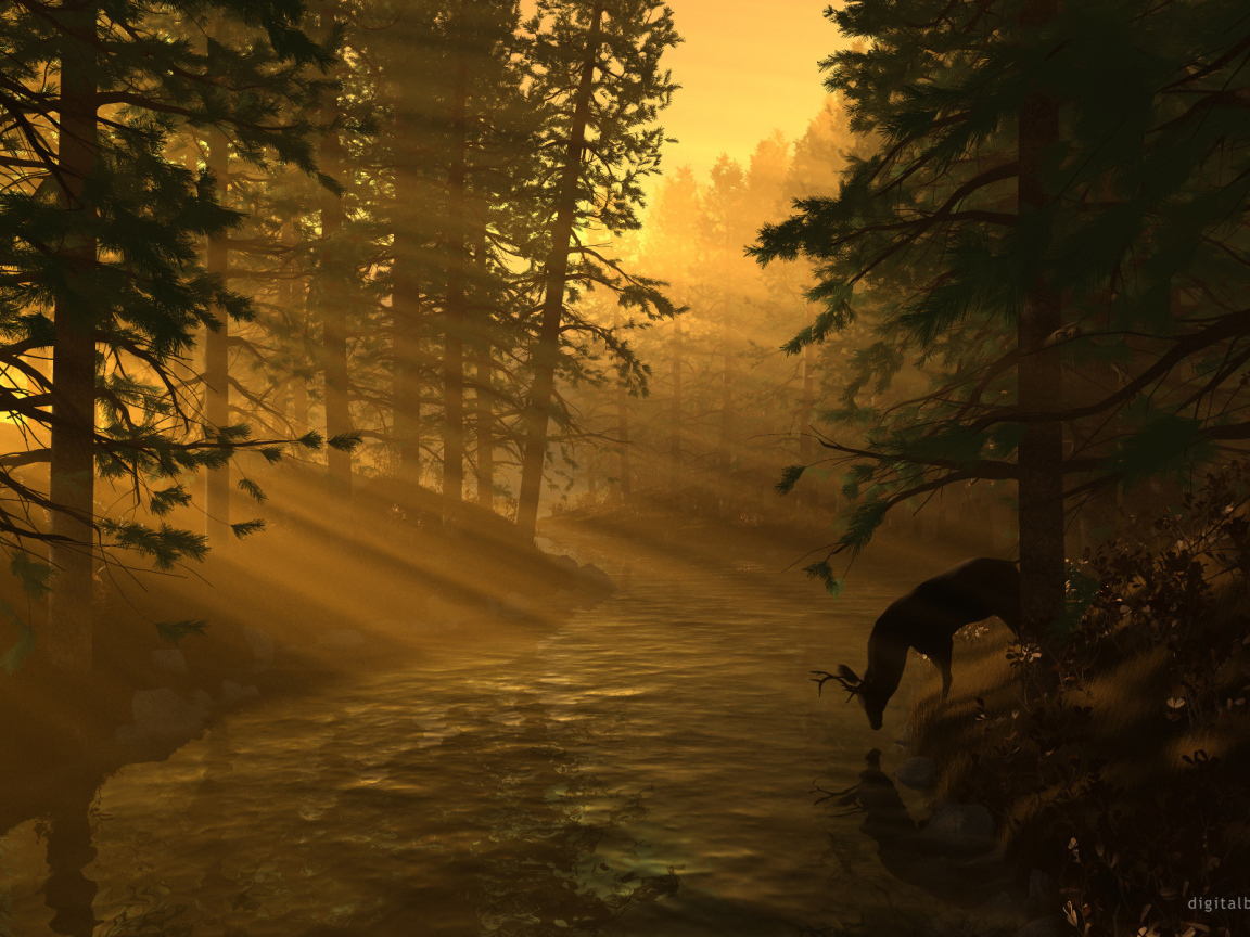 Олень в лучах солнца