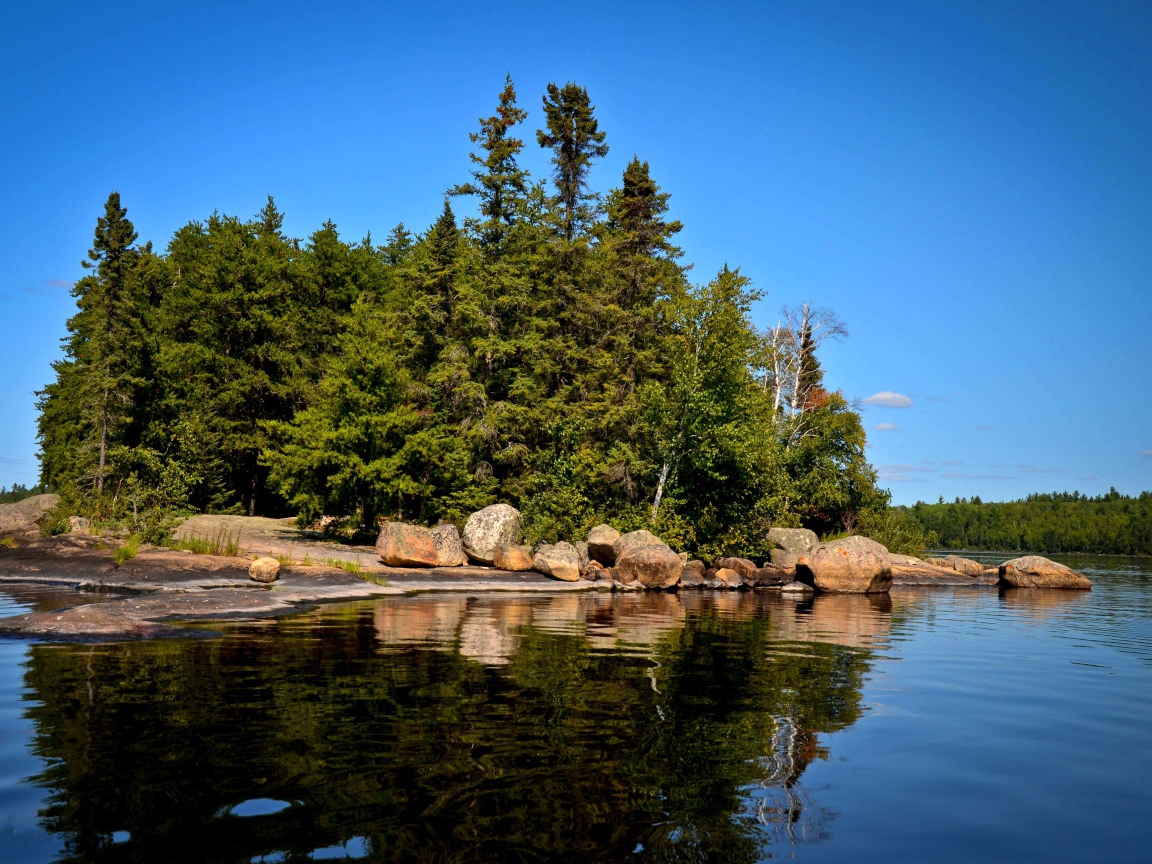 Поросший лесом остров