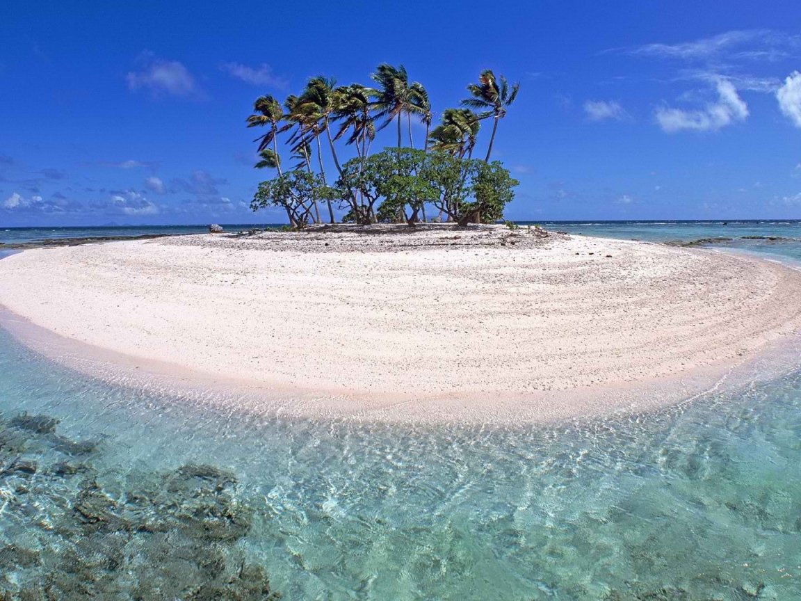 Маленький остров с деревьями