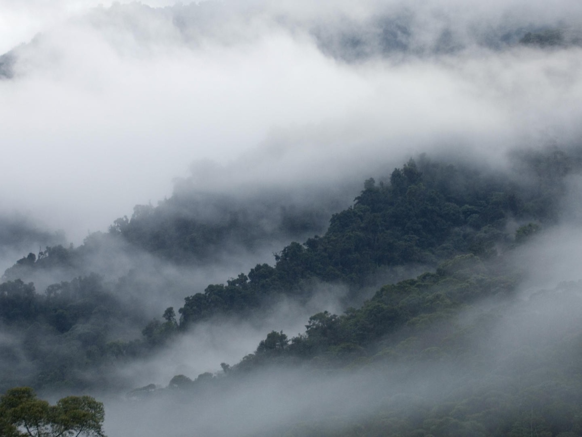 Эквадорские туманы в горах