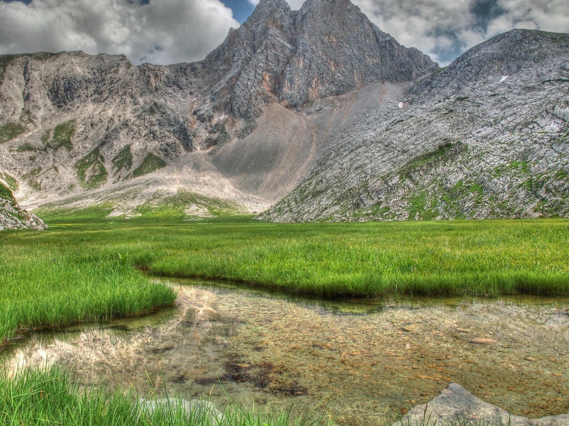 Заросшее травой озеро