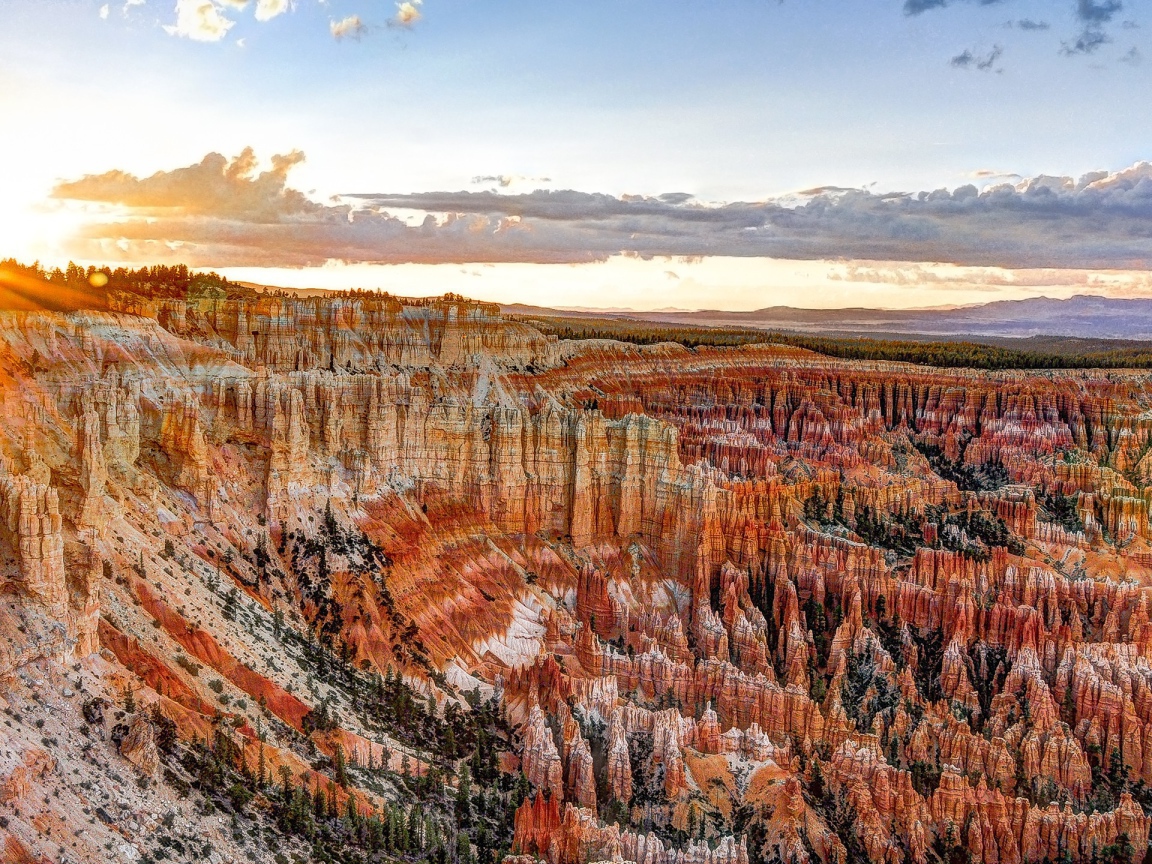 Каньон Брюс