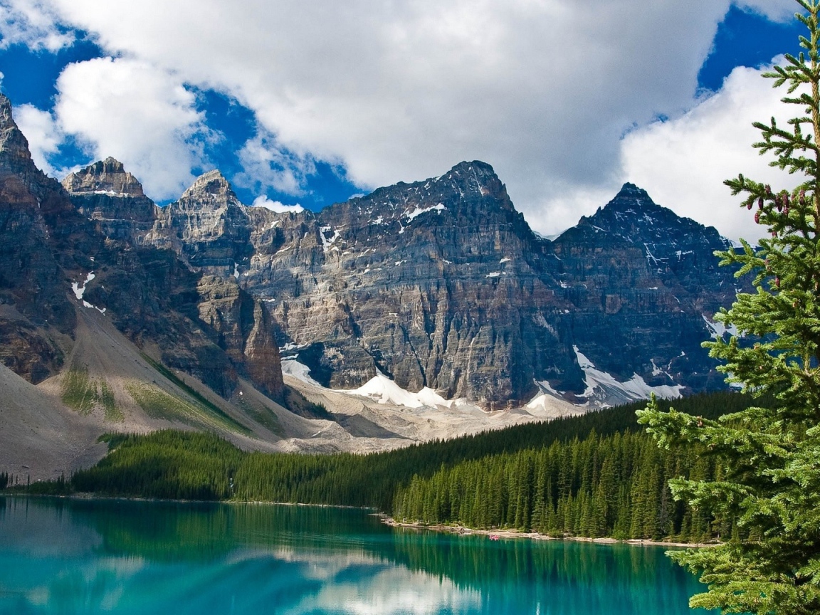 Ель на берегу озера