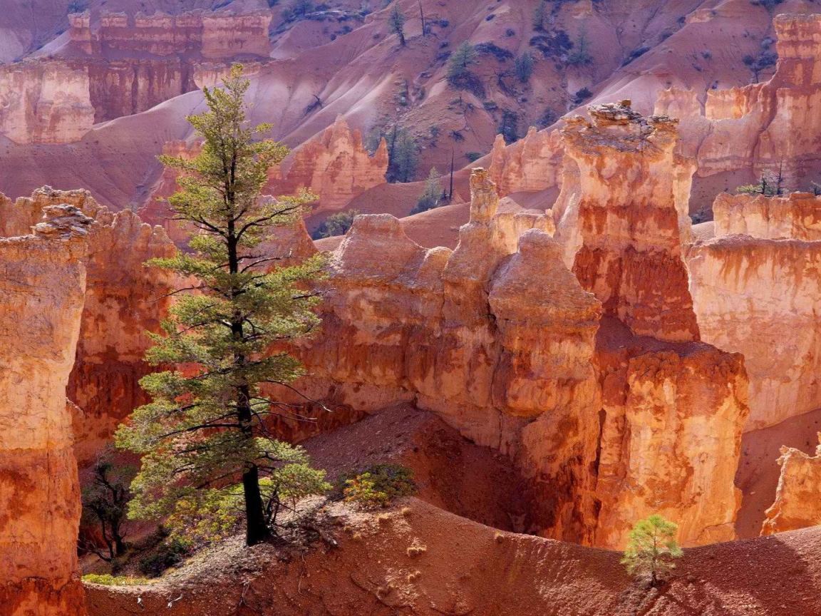 Каньон утах в америке