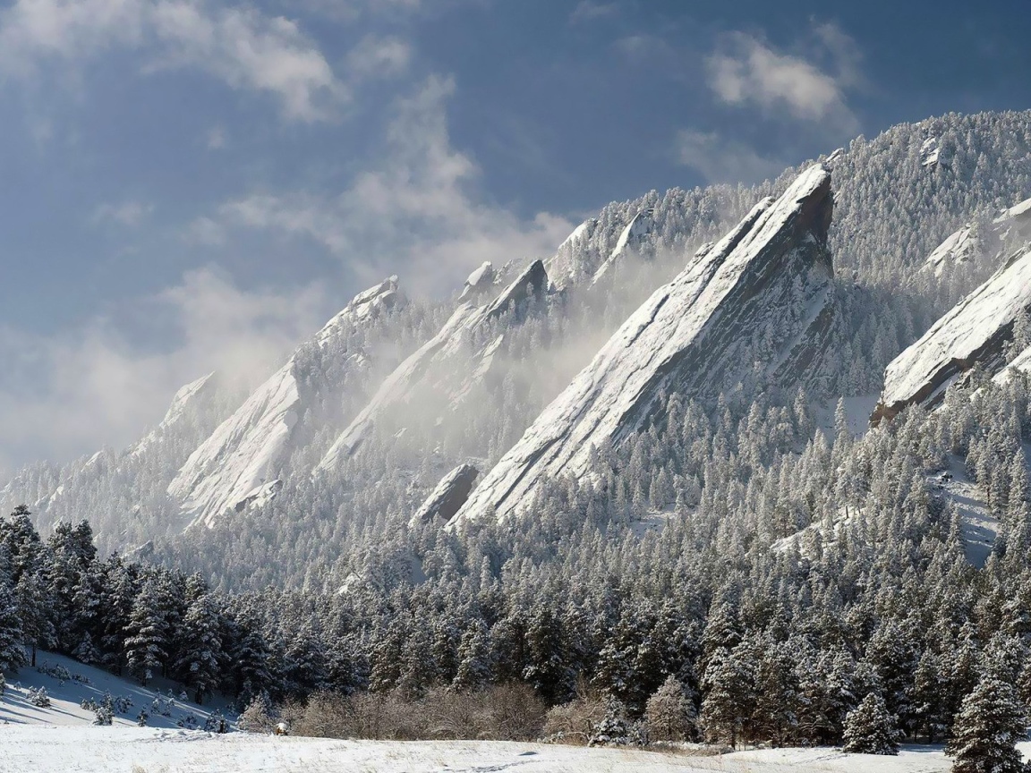 Скалы и деревья