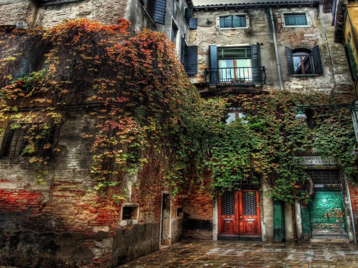 Старый дом заросший травой