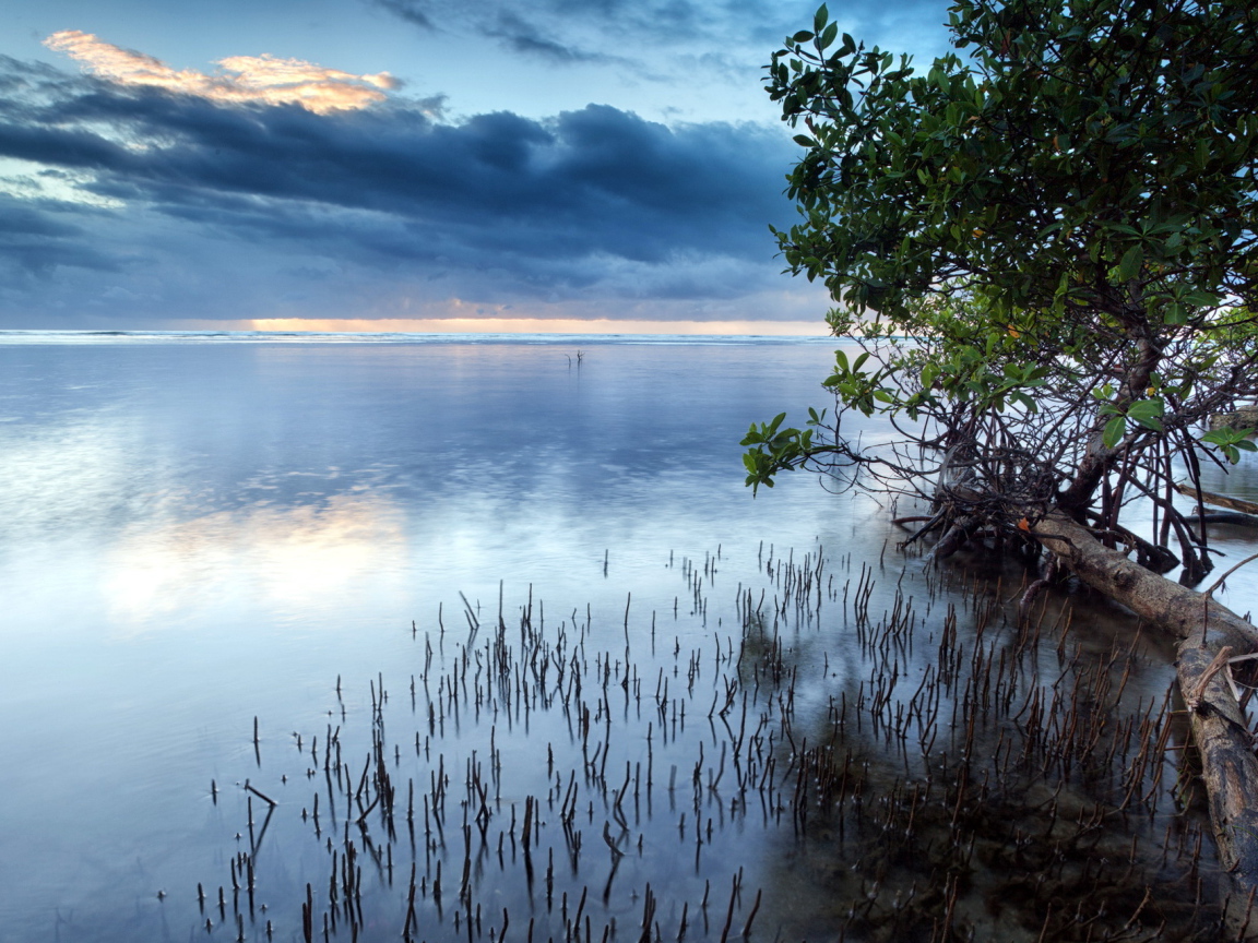 Темные облака над озером