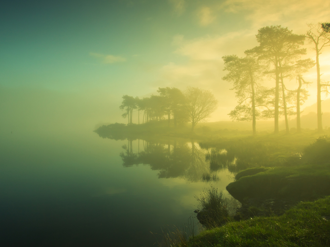 Туман на берегу озера