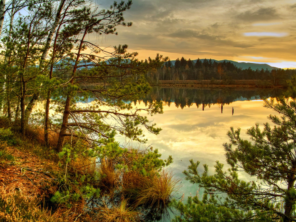 Лесное озеро на закате