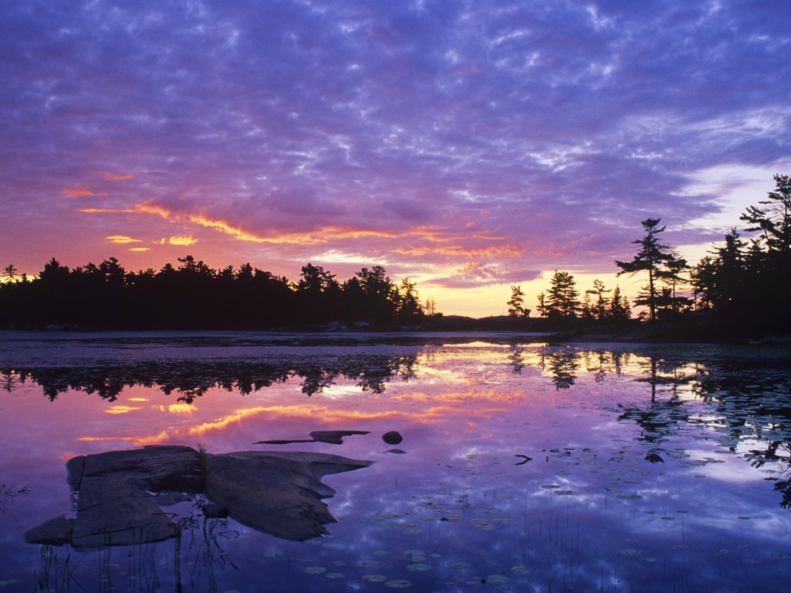 Заросшее озеро на закате