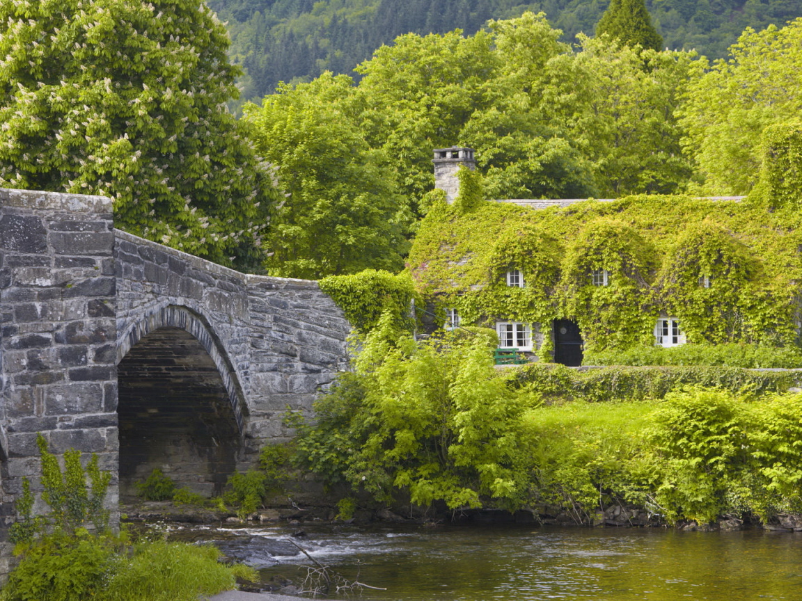 Каменный мост и дом