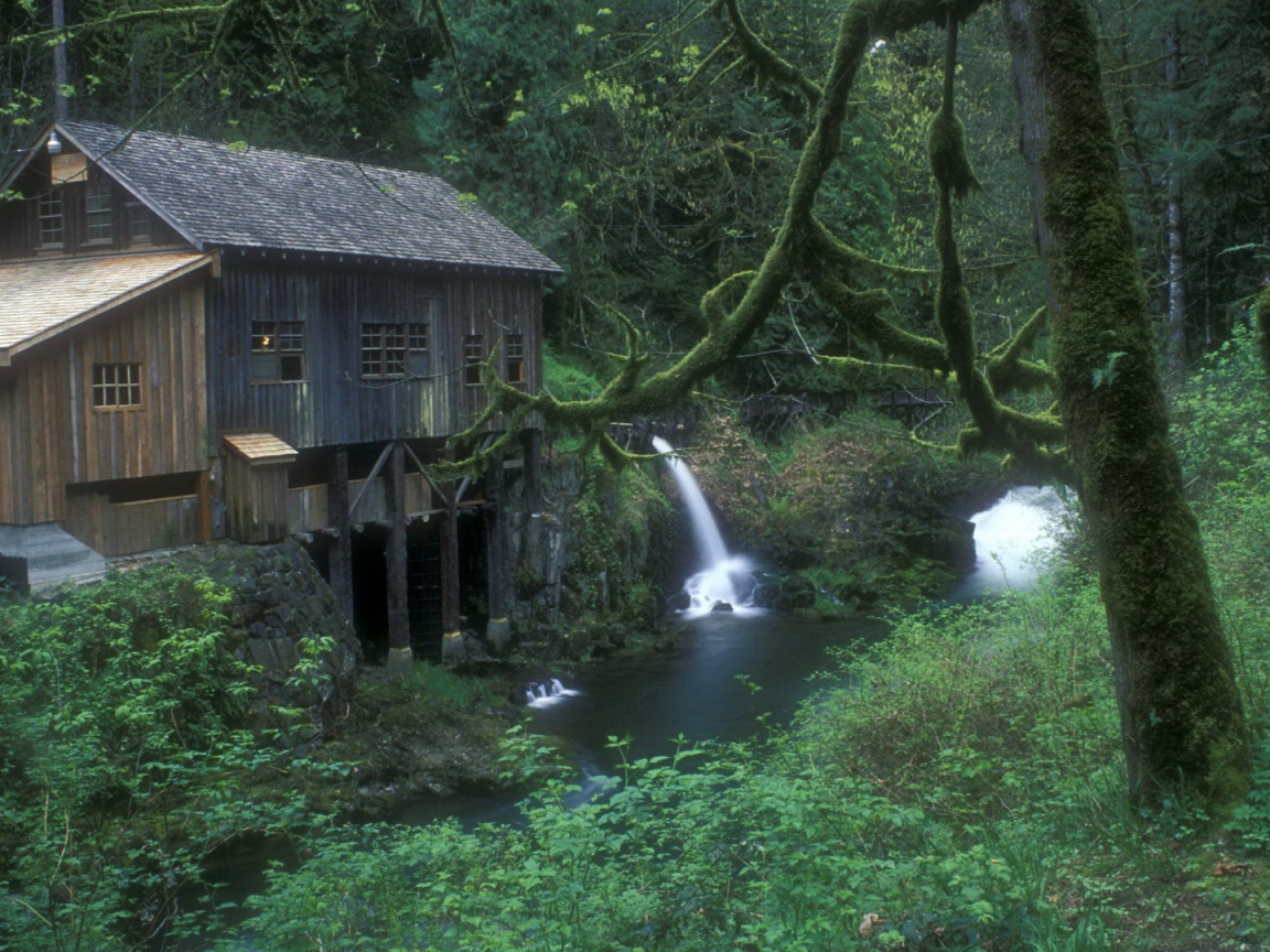 Плотина на реке в лесу