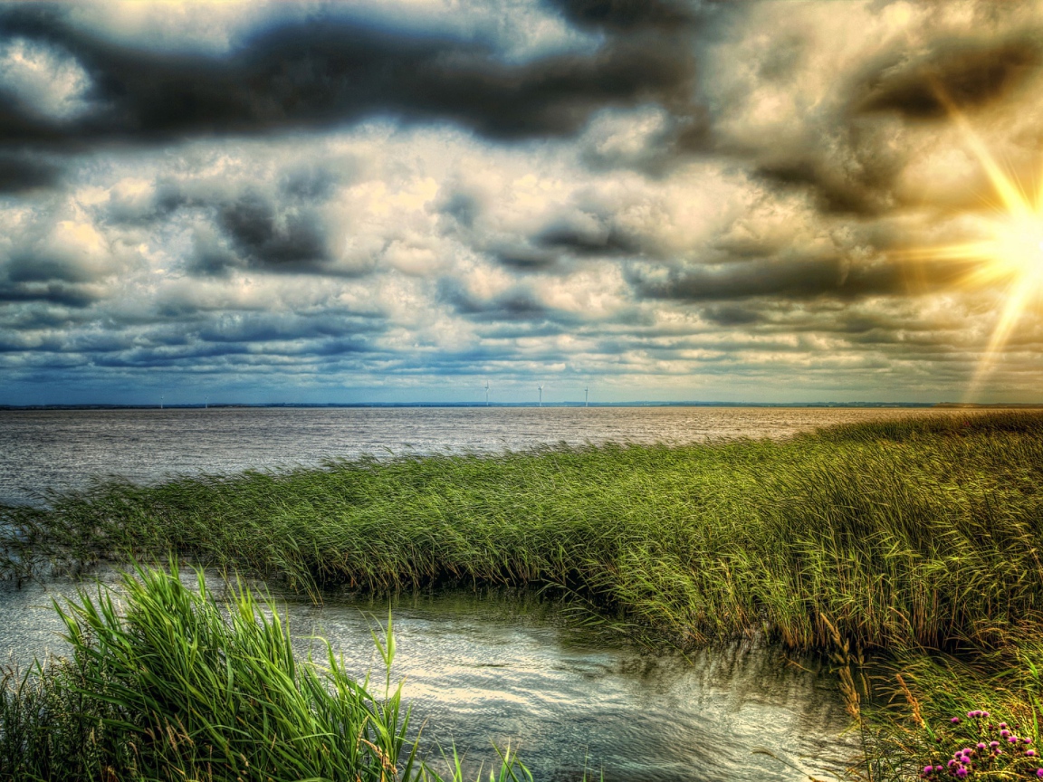 Заросший берег озера