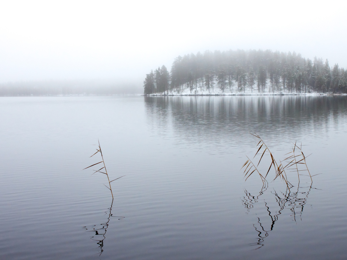 Зимнее озеро в тумане