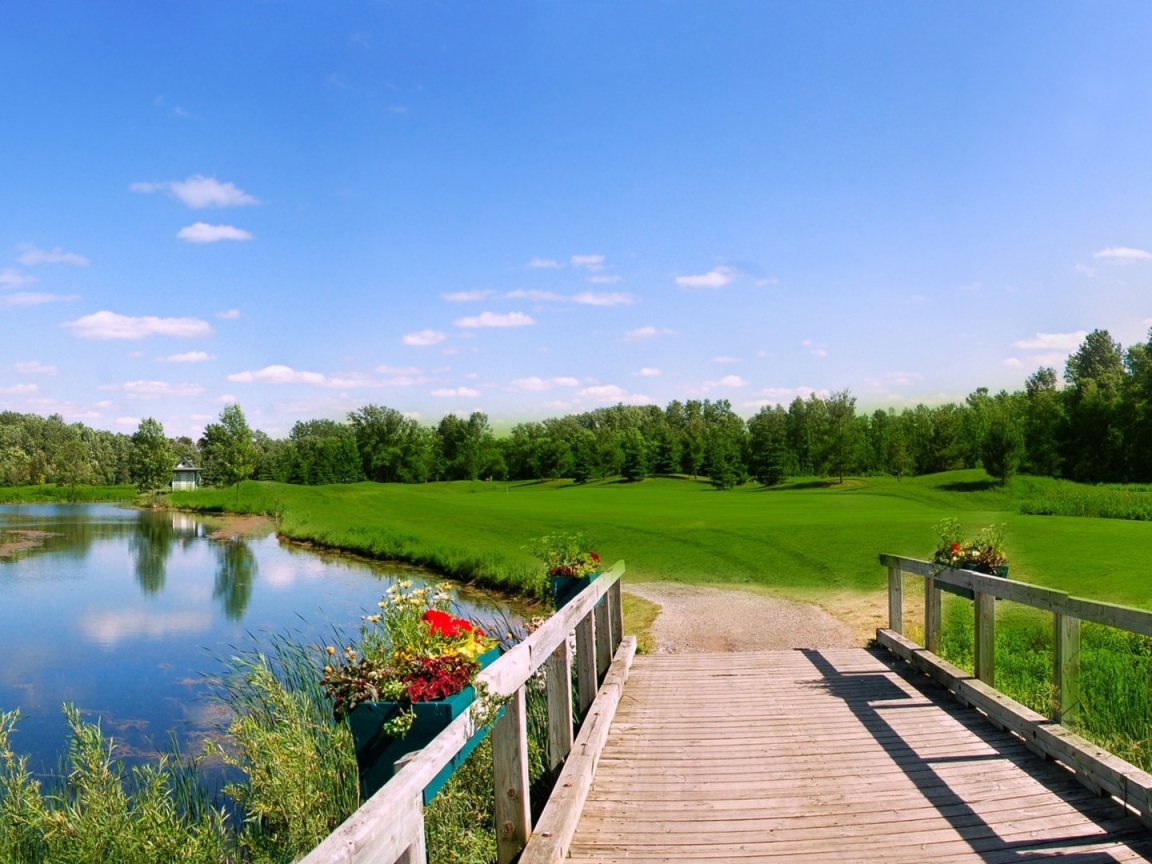 Деревянный мост на озере