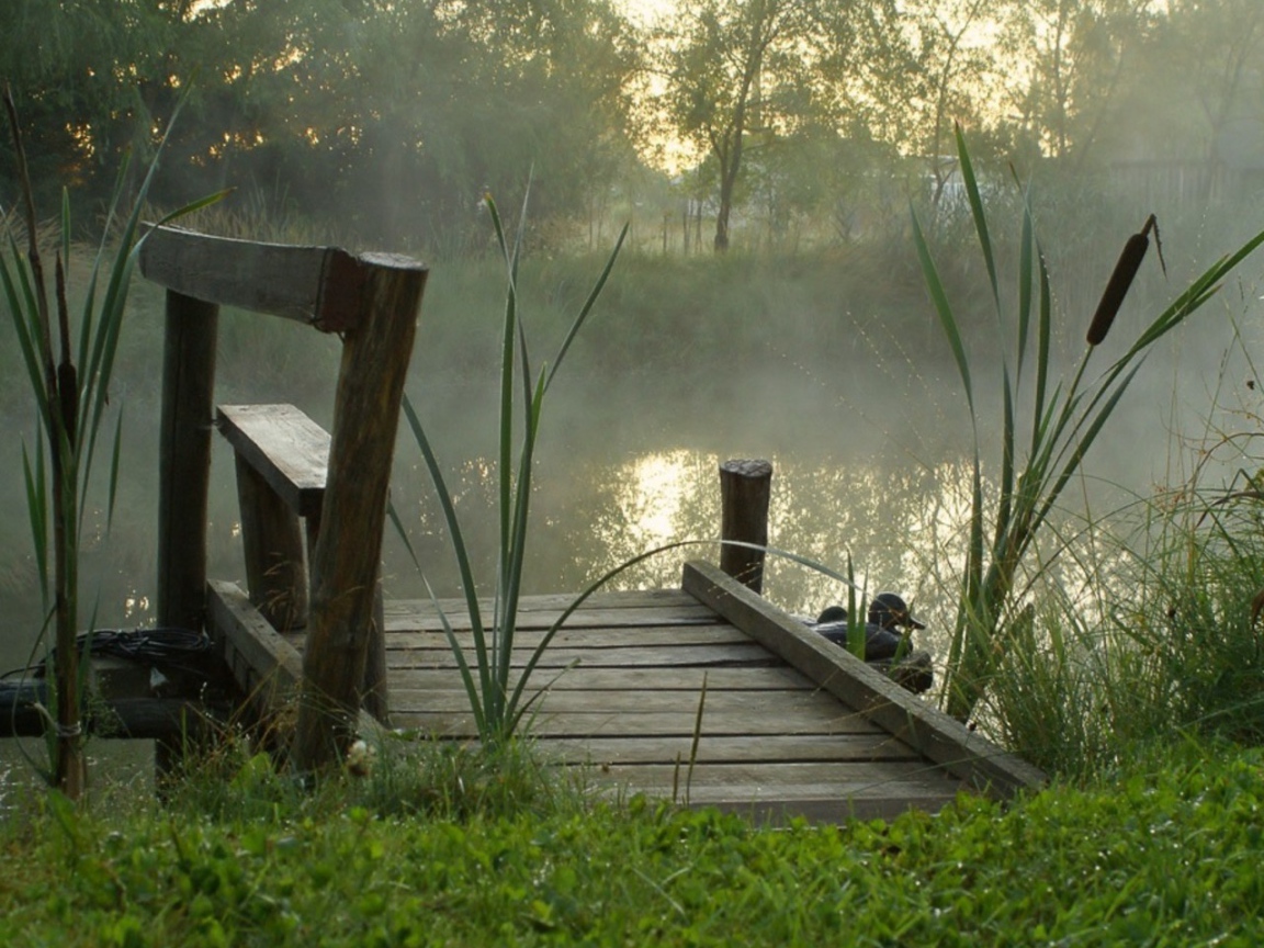 Утренний туман над прудом