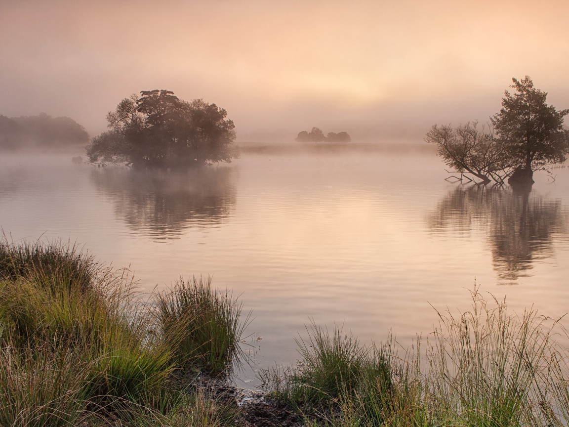 Утро в Англии