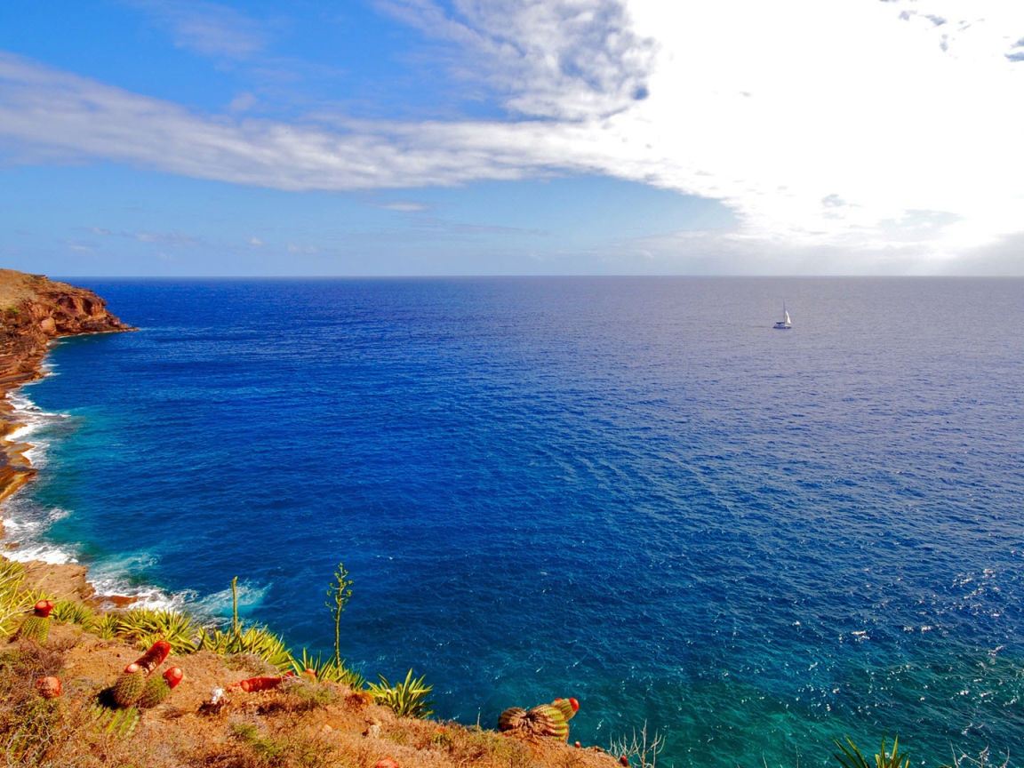 Одиночество в море