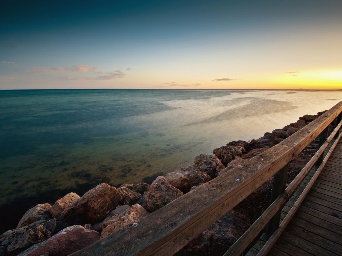 Пляж моллюсков