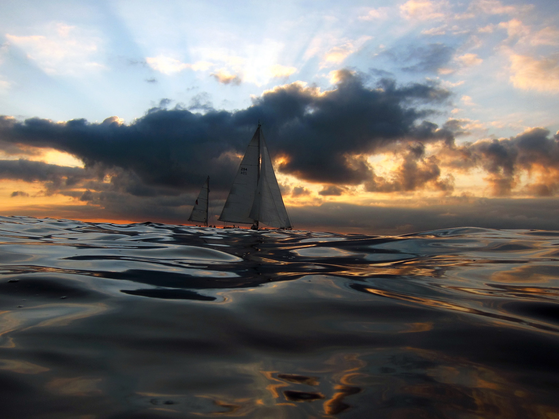 Парусники в море вечером