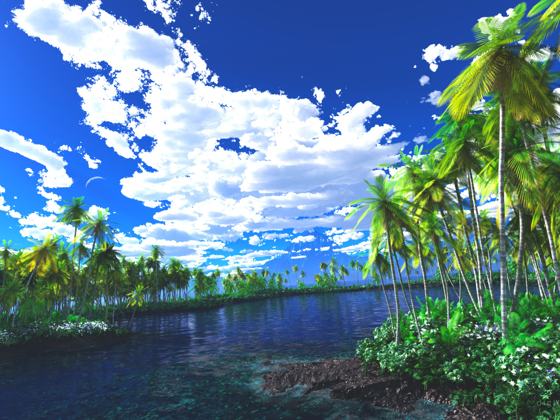 Лагуна заросшая пальмами