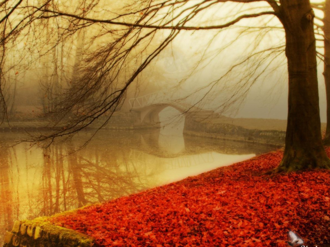 Туман в осеннем парке