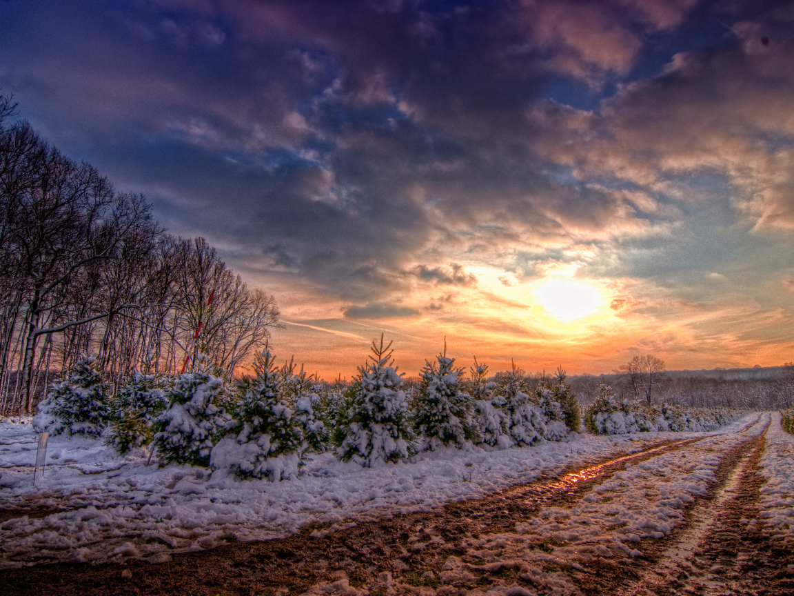 Зимняя дорога в закат