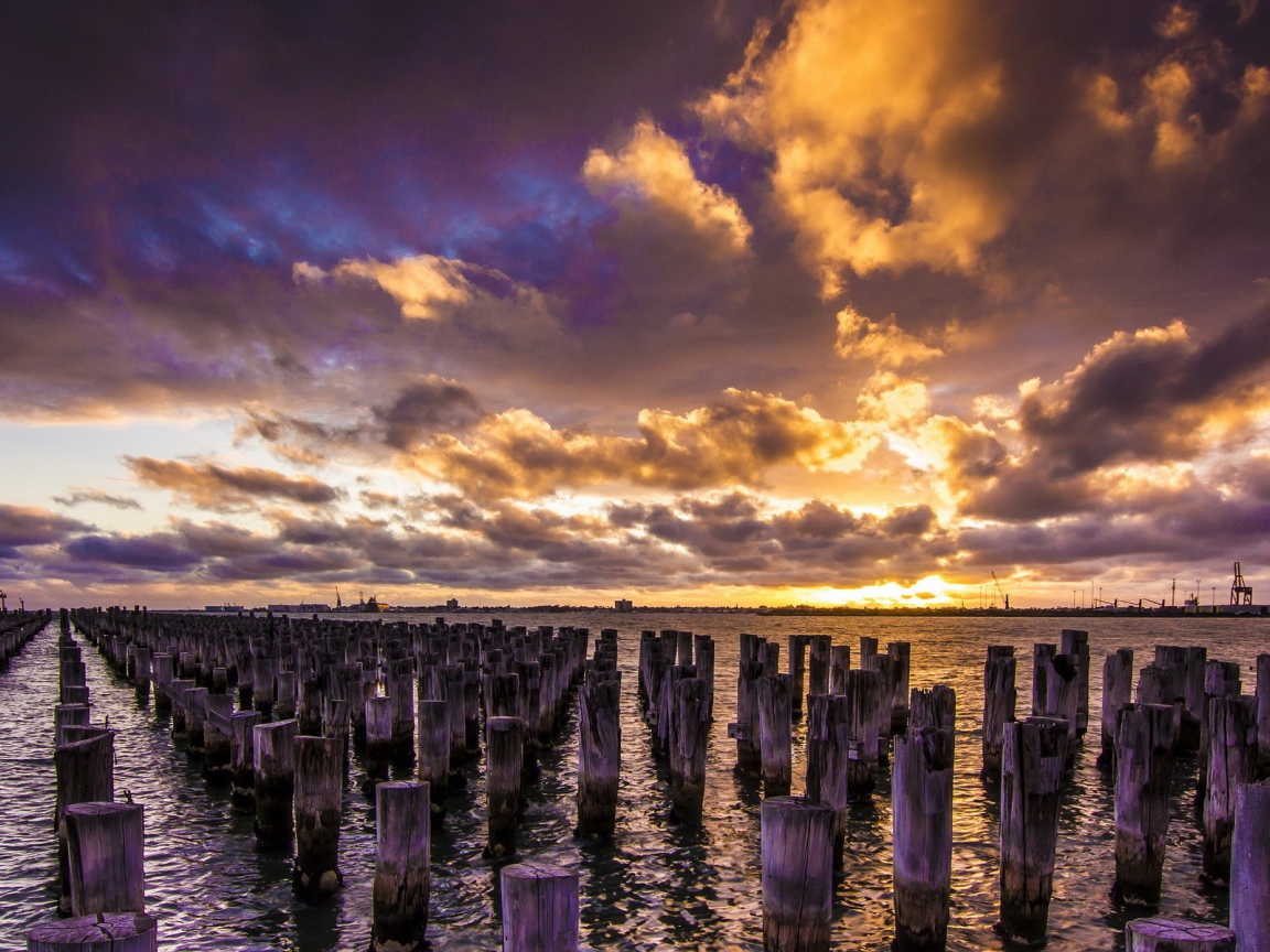 Деревянные сваи в воде