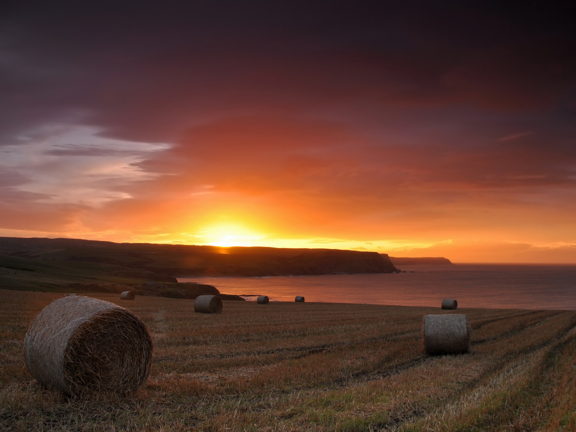 Закат на скошенном поле