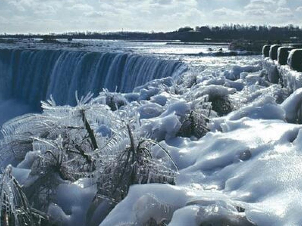 Обледеневшие растения на фоне замерзшего водопада