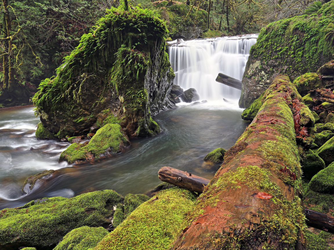 Маленький, красивый водопад в США