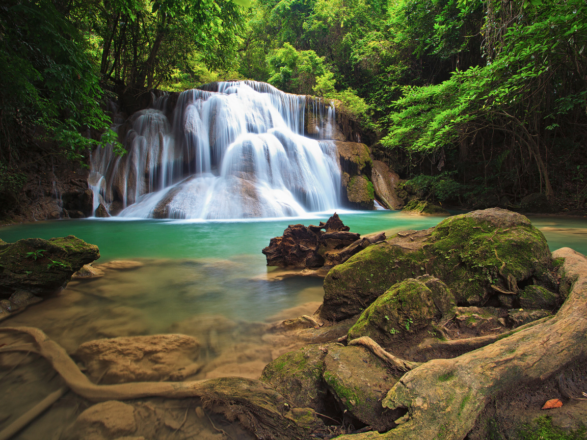 Водопад в густом лесу