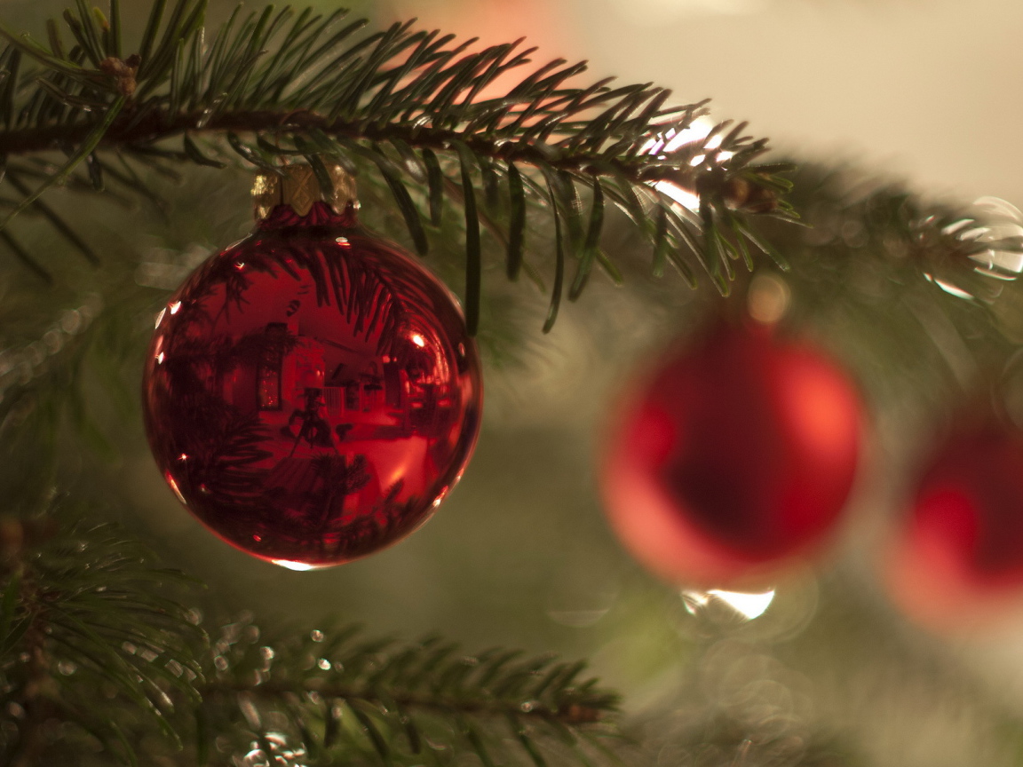 Красный шар на ветке