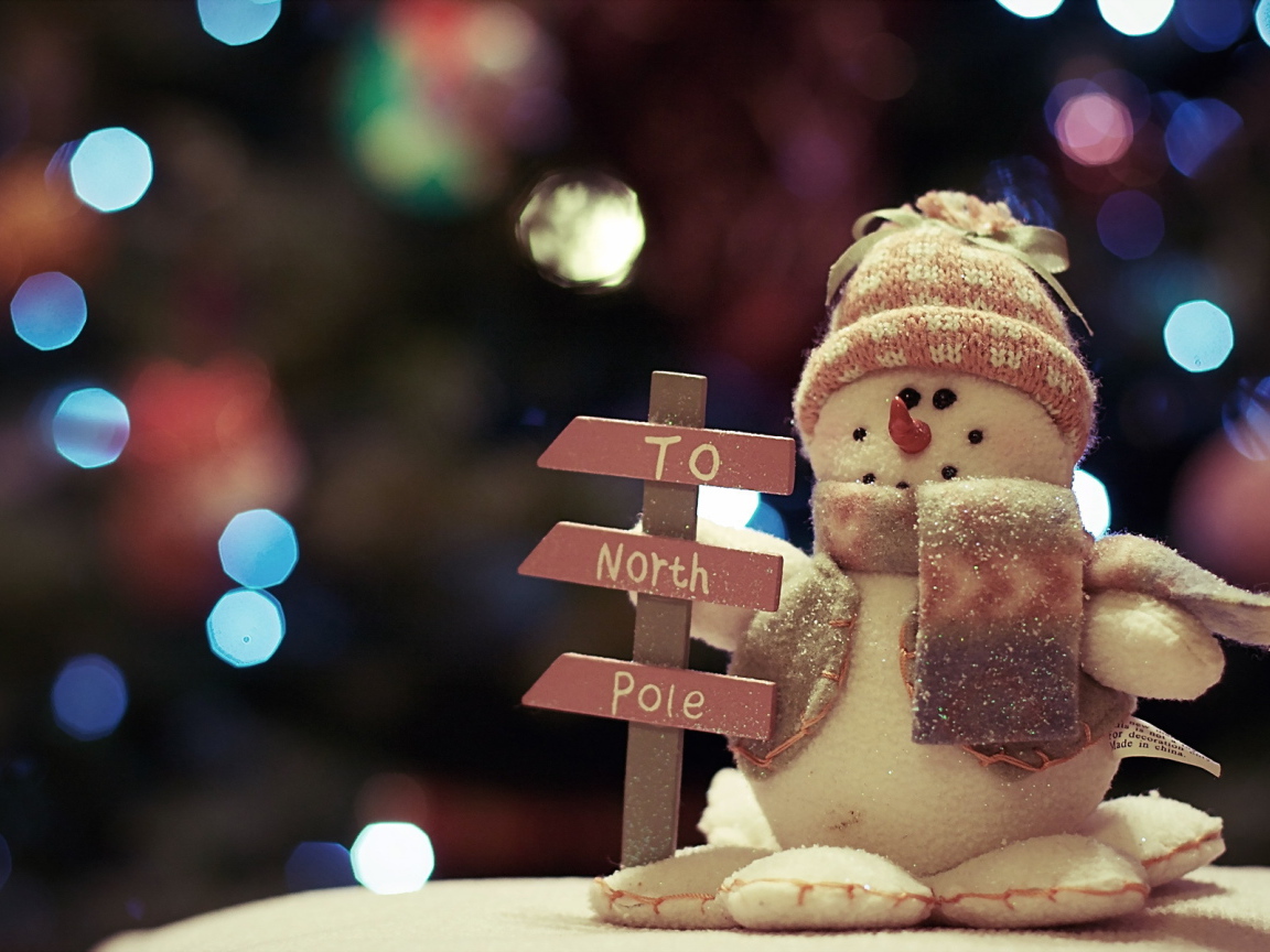 Указатель на Северный полюс