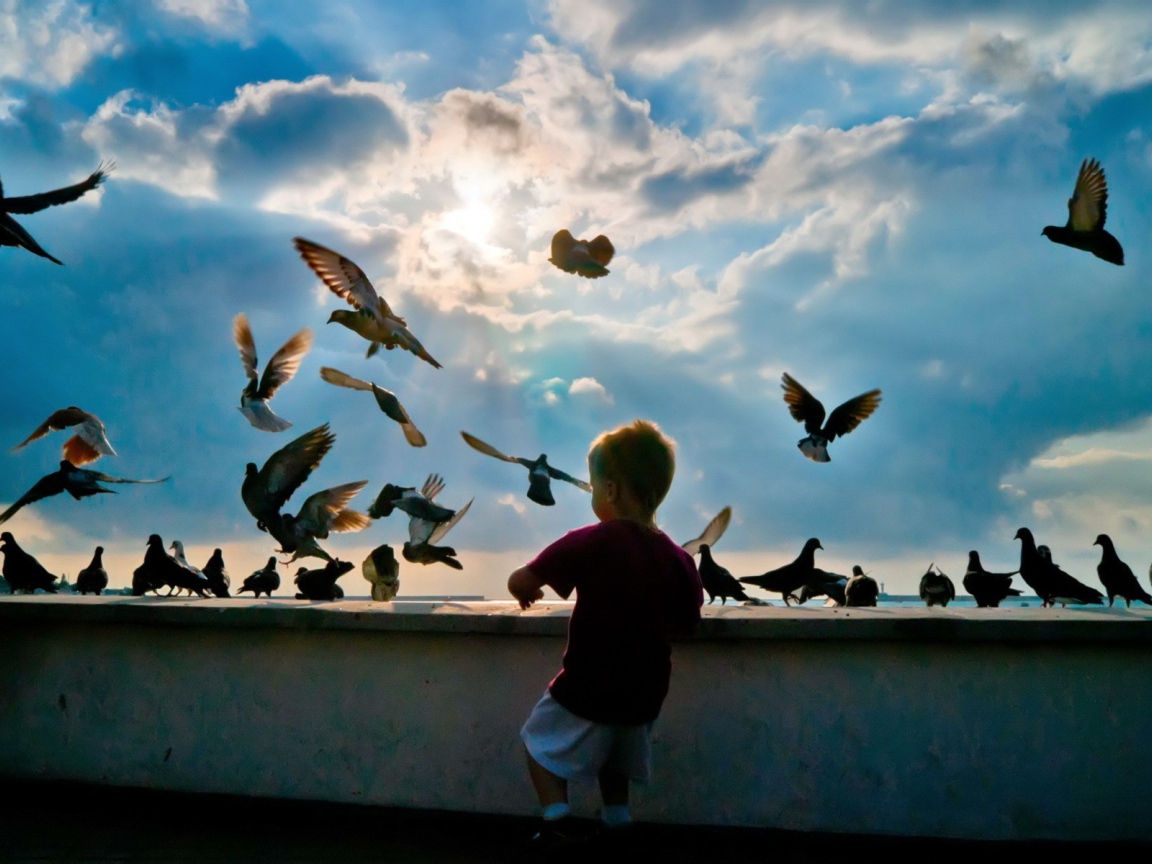 Ребенок и голуби 
