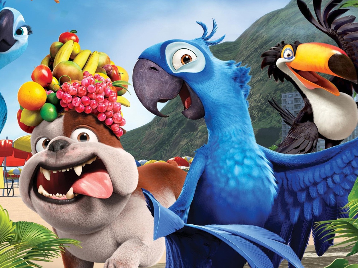 Собака и попугаи