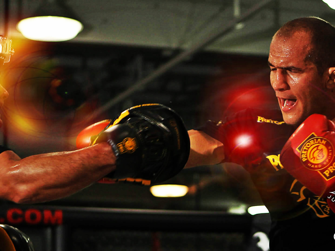 Боец Джуниор Дос Сантос