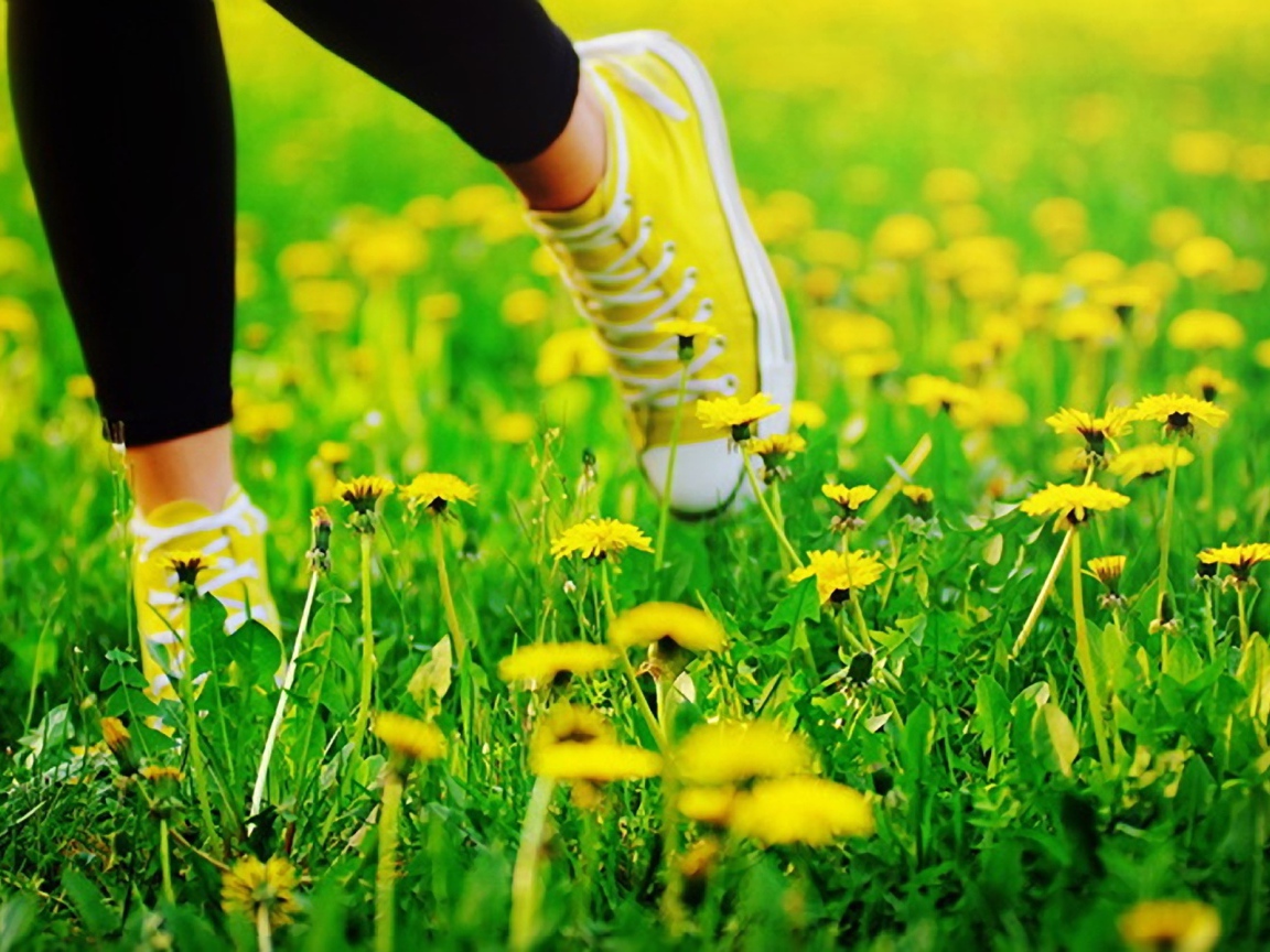 Пробежка в кедах по лугу