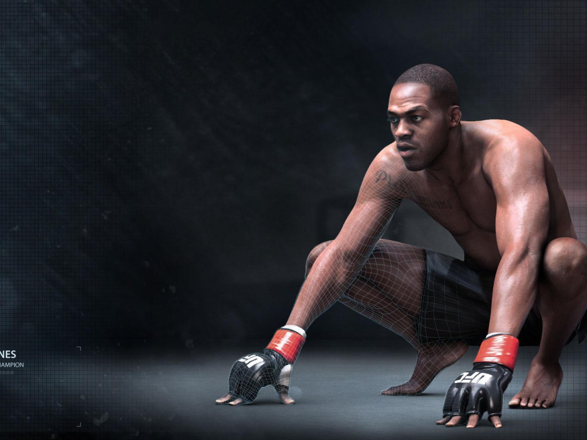 УФЦ  Боец Джон Джонс