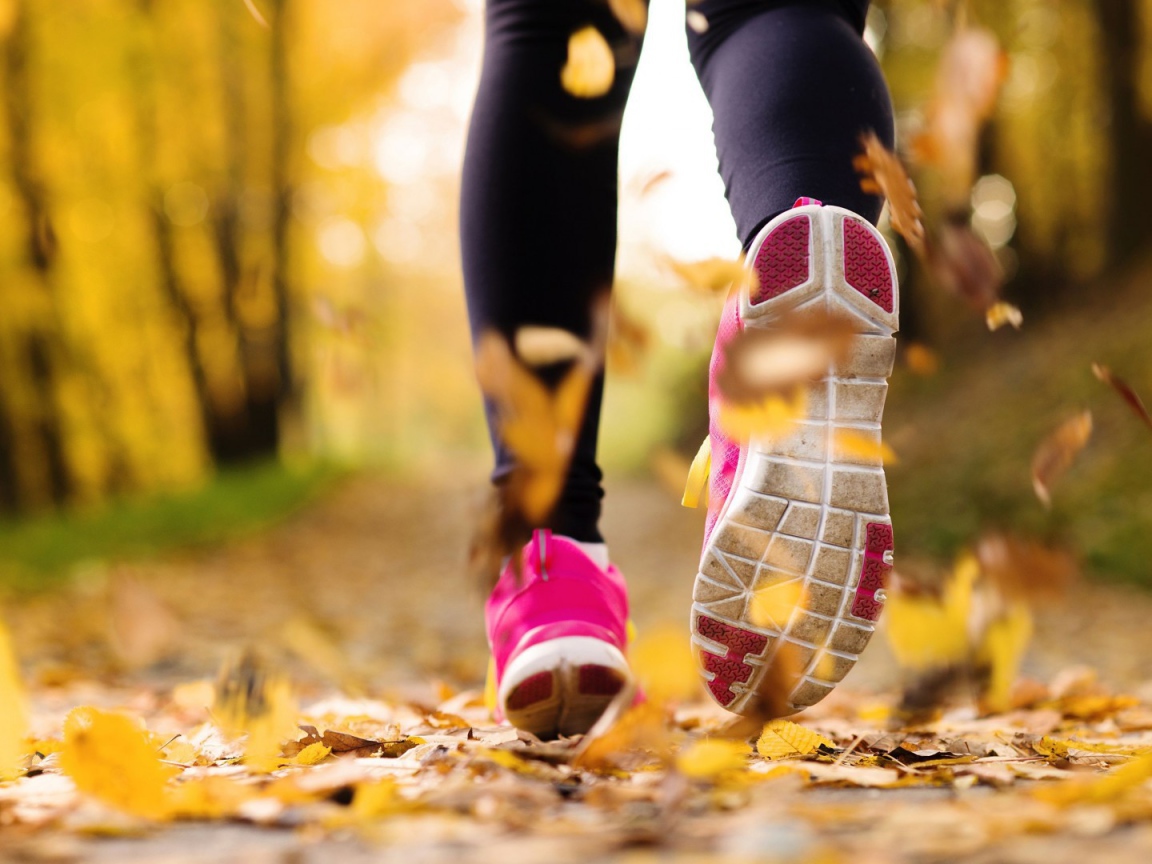 Утренняя пробежка в парке