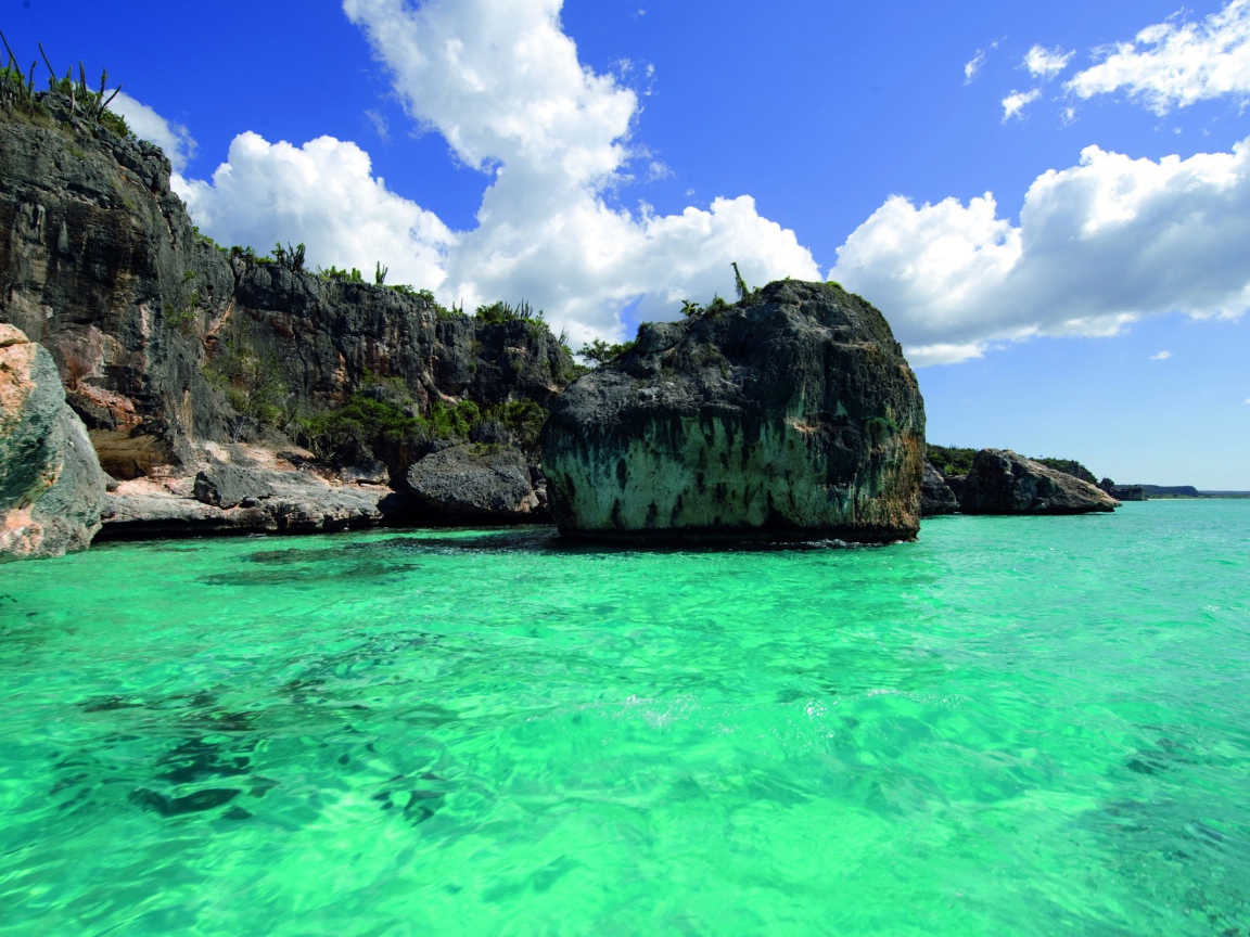 Зеленая вода в Барбадосе 