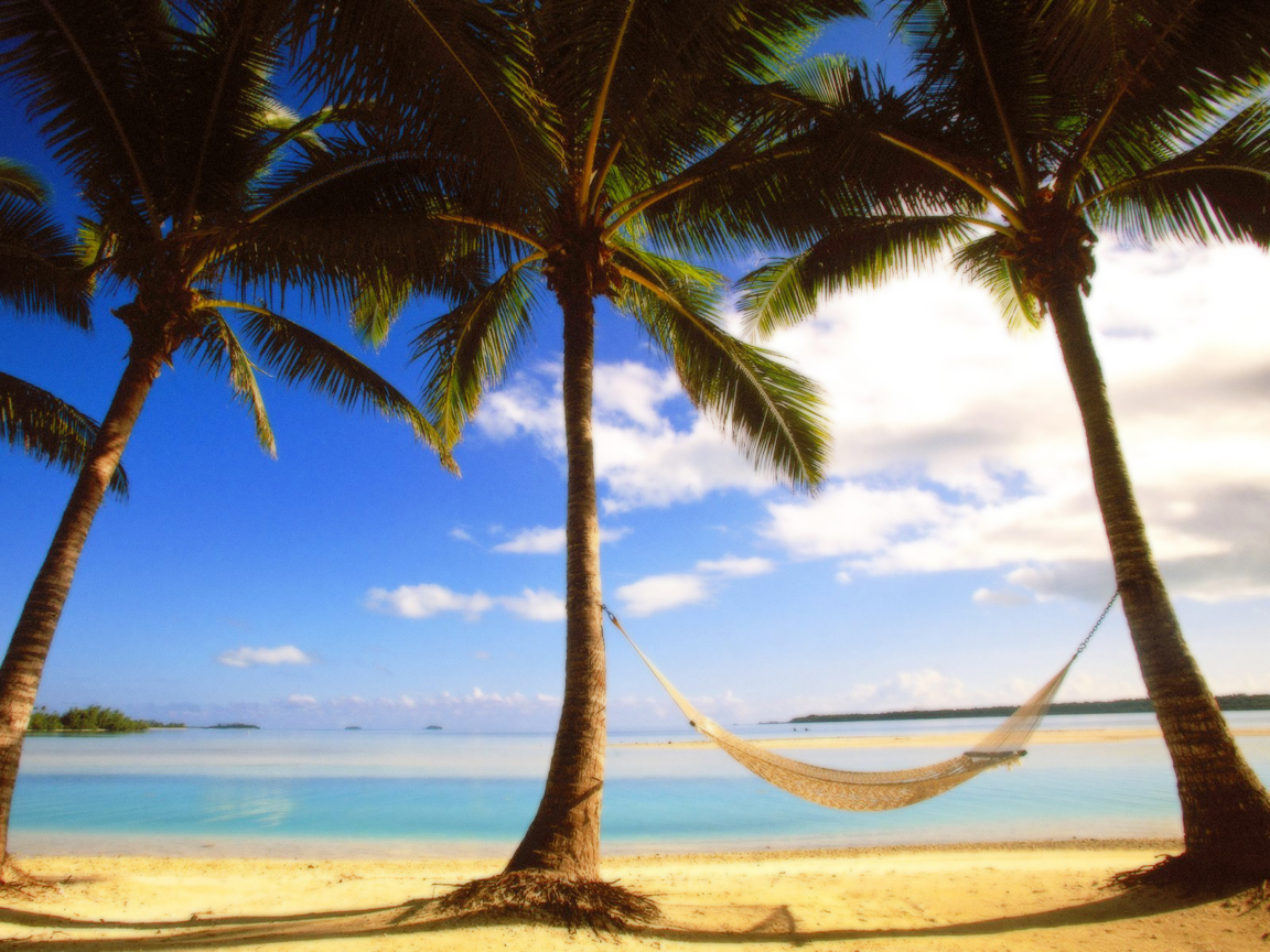Пальмы на пляже в жаркий день в Барбадосе