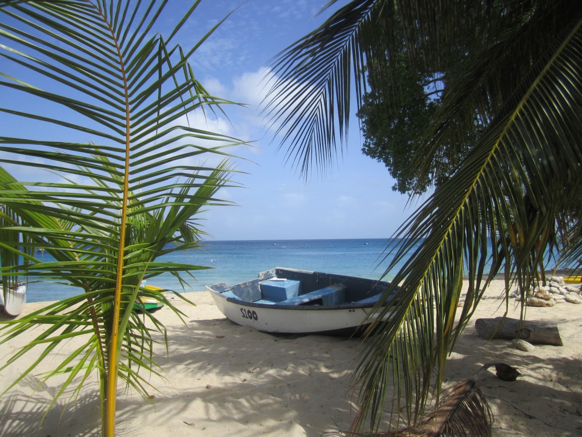 Белая, лодка в Барбадосе